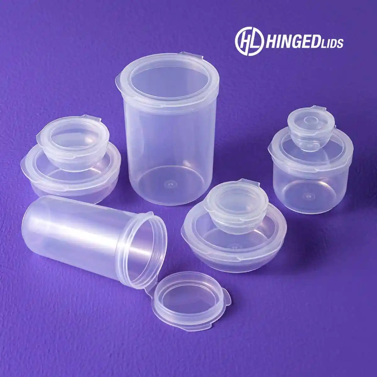 Hinged-Lids Containers